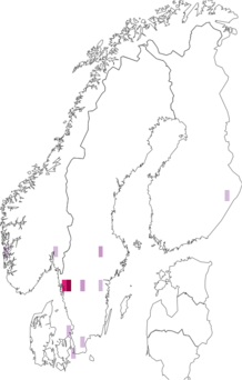 Kaarta Melanoleuca friesii. Data source: GBIF