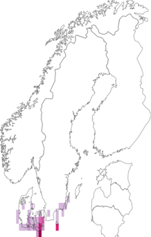 Fyndkarta för vitbandat glansfly. Datakälla: GBIF