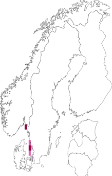 Fyndkarta för Caprella septentrionalis. Datakälla: GBIF