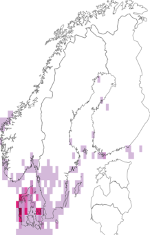 Kaarta hietikkosara. Data source: GBIF