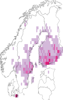 Fyndkarta för svartfläckig glanssmygare. Datakälla: GBIF