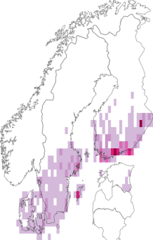 Fyndkarta för vitfläckat glansfly. Datakälla: GBIF