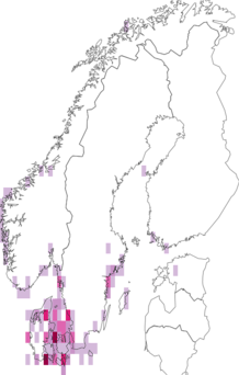 Kaarta Polysiphonia fucoides. Data source: GBIF