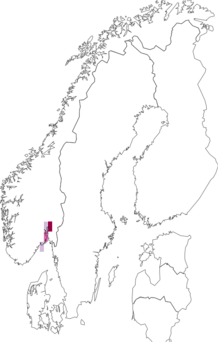 Fyndkarta för Xenylla tullbergi. Datakälla: GBIF