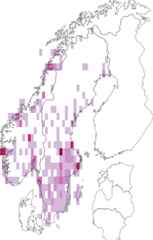 Fyndkarta för vitfläckad fältmätare. Datakälla: GBIF