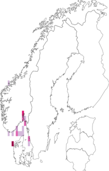 Fyndkarta för Leptostylis longimana. Datakälla: GBIF