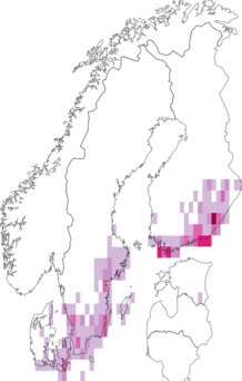 Fyndkarta för rosenvinge. Datakälla: GBIF