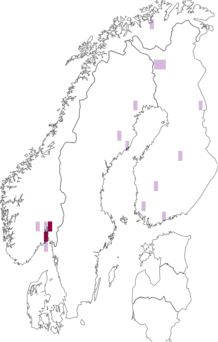 Fyndkarta för Euthyneura gyllenhali. Datakälla: GBIF