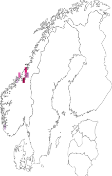 Fyndkarta för Nototeredo norvegica. Datakälla: GBIF