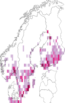 Kaarta kenttätyräkki. Data source: GBIF
