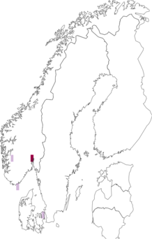 Fyndkarta för Morchella distans. Datakälla: GBIF