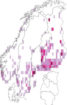 Fyndkarta för rustik snedbandvecklare. Datakälla: GBIF