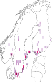 Fyndkarta för Oplodontha viridula. Datakälla: GBIF