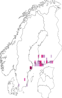 Fyndkarta för svartkragad aldvärgmal. Datakälla: GBIF