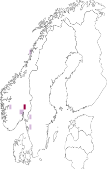 Fyndkarta för Galerina cephalotricha. Datakälla: GBIF