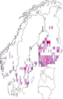 Fyndkarta för småprickig blåbärsvårvecklare. Datakälla: GBIF