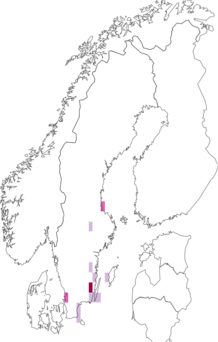 Fyndkarta för skogssallatblomvecklare. Datakälla: GBIF