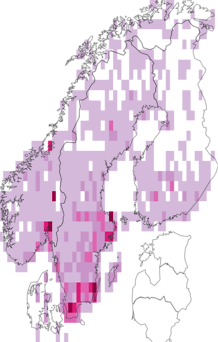 Kaarta Curculionidae. Data source: GBIF