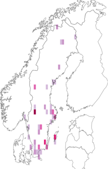 Fyndkarta för blomflugesteklar. Datakälla: GBIF
