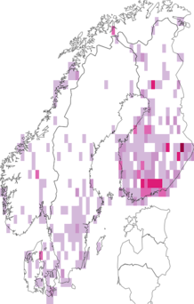 Fyndkarta för rödtonad fältmätare. Datakälla: GBIF
