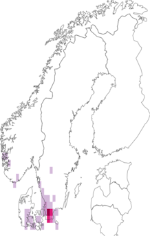 Kaarta Melanohalea laciniatula. Data source: GBIF