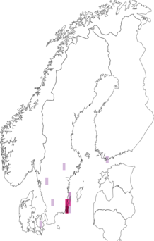 Fyndkarta för ölandssolvända. Datakälla: GBIF