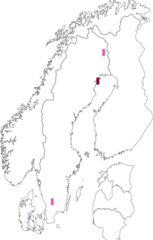Fyndkarta för Cortinarius aureifolius. Datakälla: GBIF