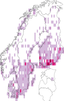 Kaarta Epirrhoe alternata. Data source: GBIF
