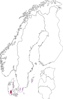Fyndkarta för Patellariales. Datakälla: GBIF