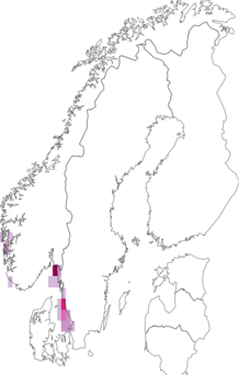 Fyndkarta för Harmothoe fragilis. Datakälla: GBIF
