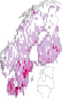 Fyndkarta för brunfläckig pärlemorfjäril. Datakälla: GBIF