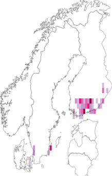 Fyndkarta för svart kirskålskärmmal. Datakälla: GBIF