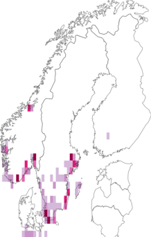 Fyndkarta för rosenkroniller. Datakälla: GBIF