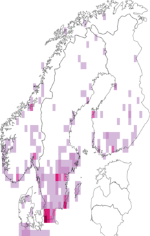 Kaarta Bromus arvensis. Data source: GBIF