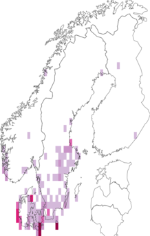 Fyndkarta för Orthonama. Datakälla: GBIF