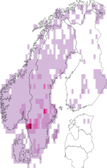 Fyndkarta för Cortinarius. Datakälla: GBIF