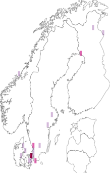 Fyndkarta för bålgetinglik glasvinge. Datakälla: GBIF