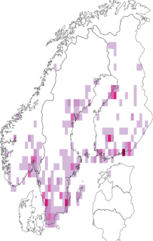 Fyndkarta för Phasiinae. Datakälla: GBIF