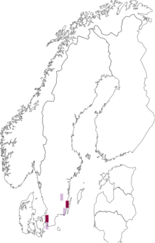 Fyndkarta för tamarisker. Datakälla: GBIF