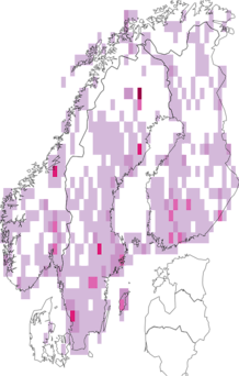 Fyndkarta för husmasknattsländor. Datakälla: GBIF