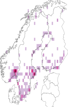 Fyndkarta för Anisosticta. Datakälla: GBIF
