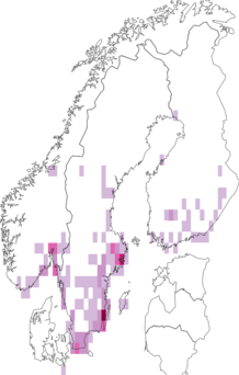 Fyndkarta för Bruchinae. Datakälla: GBIF