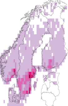 Fyndkarta för Malvales. Datakälla: GBIF