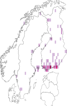 Fyndkarta för Lispocephala. Datakälla: GBIF