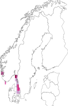 Fyndkarta för högermagade sjöpungar. Datakälla: GBIF