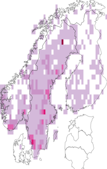 Fyndkarta för fångstnätnattsländor. Datakälla: GBIF