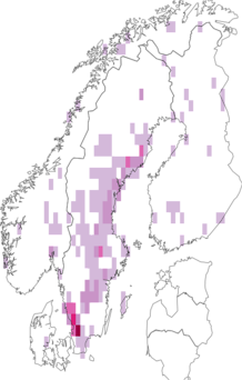 Fyndkarta för stenhusnattsländor. Datakälla: GBIF
