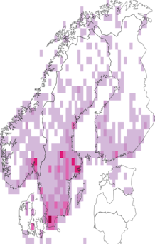 Kaarta Coccinellinae. Data source: GBIF