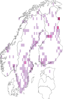 Fyndkarta för långkindade getingar. Datakälla: GBIF