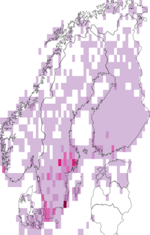 Fyndkarta för Anatini. Datakälla: GBIF
